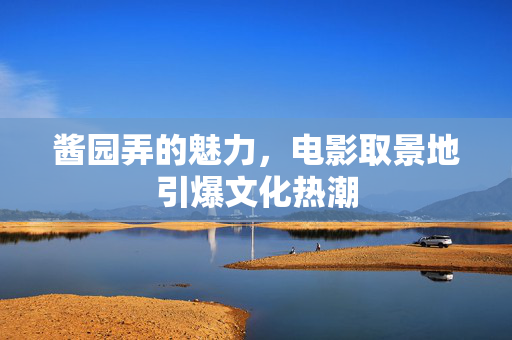 酱园弄的魅力，电影取景地引爆文化热潮