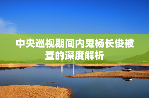 中央巡视期间内鬼杨长俊被查的深度解析