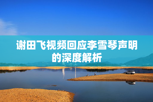 谢田飞视频回应李雪琴声明的深度解析