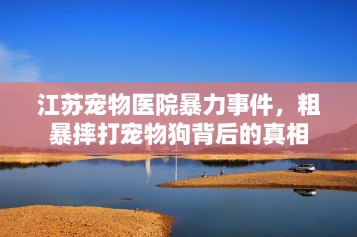 江苏宠物医院暴力事件，粗暴摔打宠物狗背后的真相
