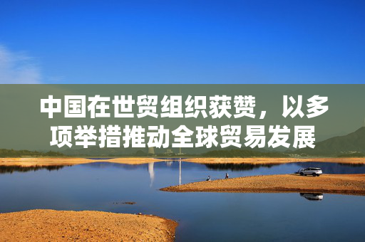 中国在世贸组织获赞，以多项举措推动全球贸易发展