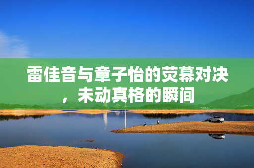 雷佳音与章子怡的荧幕对决，未动真格的瞬间