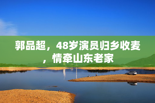 郭品超，48岁演员归乡收麦，情牵山东老家