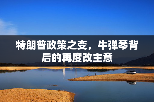 特朗普政策之变，牛弹琴背后的再度改主意
