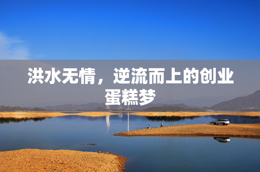 洪水无情，逆流而上的创业蛋糕梦
