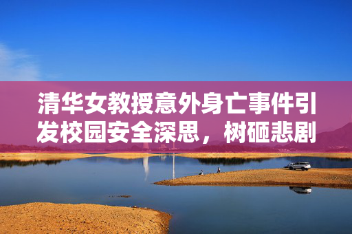 清华女教授意外身亡事件引发校园安全深思，树砸悲剧的警示与反思