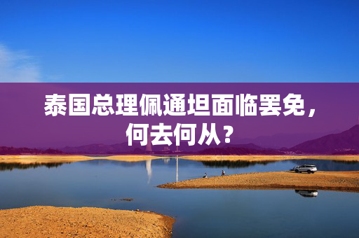 泰国总理佩通坦面临罢免，何去何从？