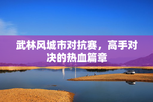 武林风城市对抗赛，高手对决的热血篇章