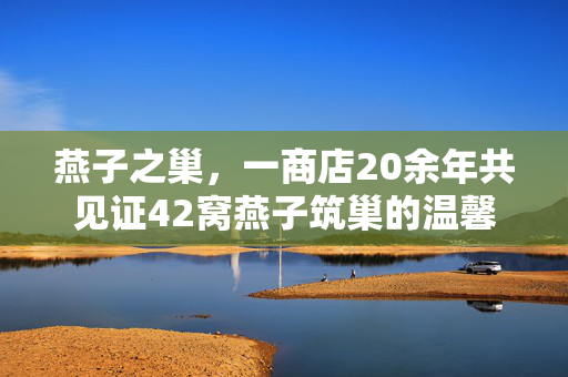 燕子之巢，一商店20余年共见证42窝燕子筑巢的温馨故事