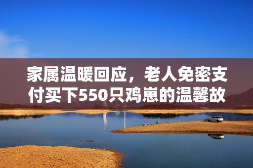 家属温暖回应，老人免密支付买下550只鸡崽的温馨故事