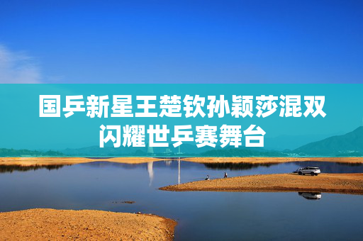 国乒新星王楚钦孙颖莎混双闪耀世乒赛舞台