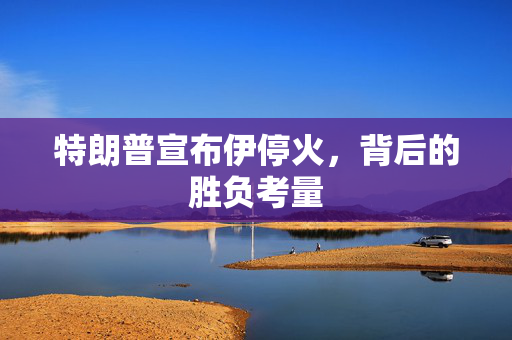 特朗普宣布伊停火，背后的胜负考量