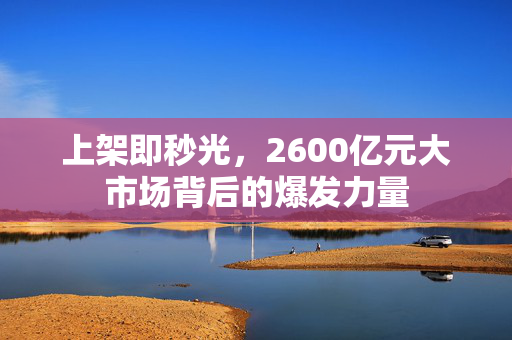 上架即秒光，2600亿元大市场背后的爆发力量