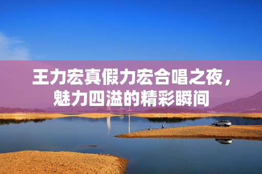 王力宏真假力宏合唱之夜，魅力四溢的精彩瞬间