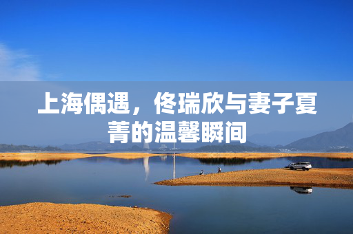 上海偶遇，佟瑞欣与妻子夏菁的温馨瞬间