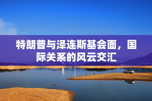 特朗普与泽连斯基会面，国际关系的风云交汇