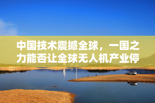 中国技术震撼全球，一国之力能否让全球无人机产业停摆一年？
