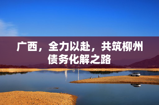 广西，全力以赴，共筑柳州债务化解之路