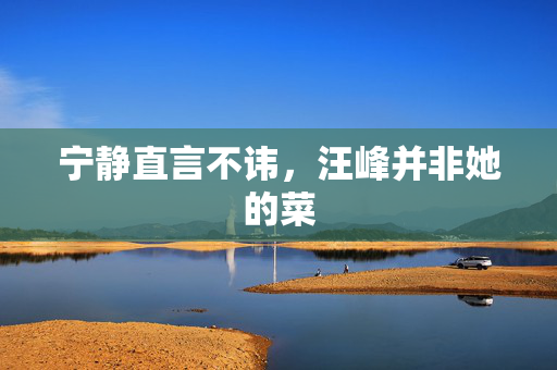 宁静直言不讳，汪峰并非她的菜