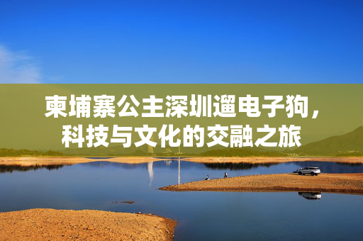 柬埔寨公主深圳遛电子狗，科技与文化的交融之旅