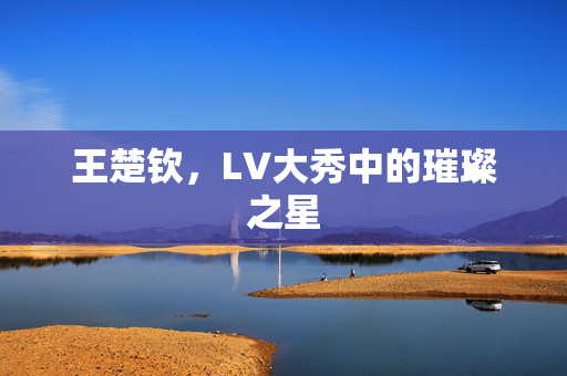 王楚钦，LV大秀中的璀璨之星