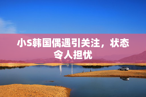 小S韩国偶遇引关注，状态令人担忧