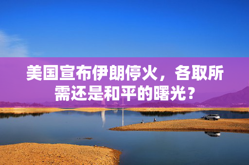 美国宣布伊朗停火，各取所需还是和平的曙光？