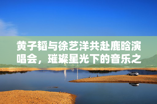 黄子韬与徐艺洋共赴鹿晗演唱会，璀璨星光下的音乐之夜