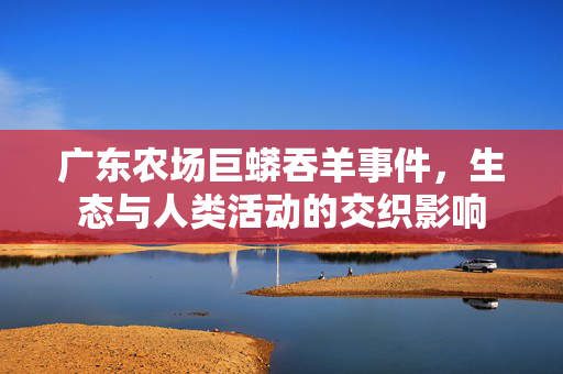 广东农场巨蟒吞羊事件，生态与人类活动的交织影响