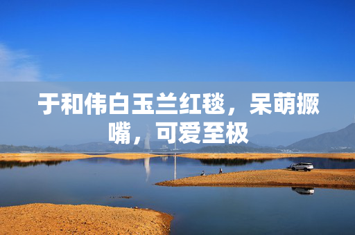 于和伟白玉兰红毯，呆萌撅嘴，可爱至极