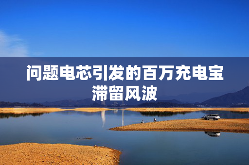 问题电芯引发的百万充电宝滞留风波