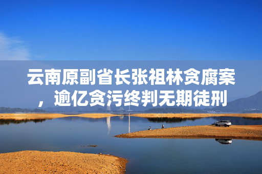 云南原副省长张祖林贪腐案，逾亿贪污终判无期徒刑