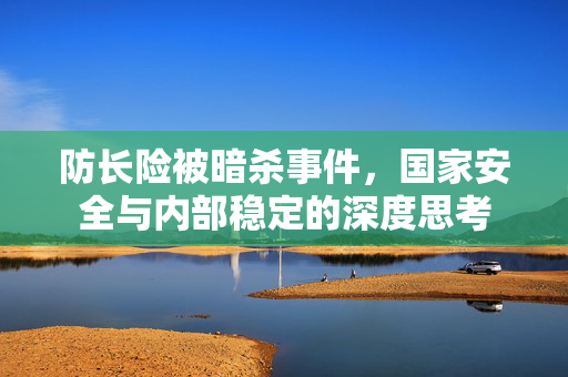 防长险被暗杀事件，国家安全与内部稳定的深度思考