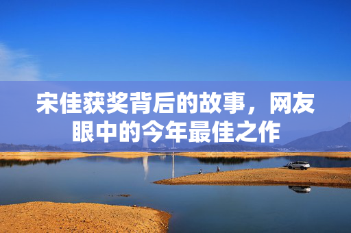 宋佳获奖背后的故事，网友眼中的今年最佳之作