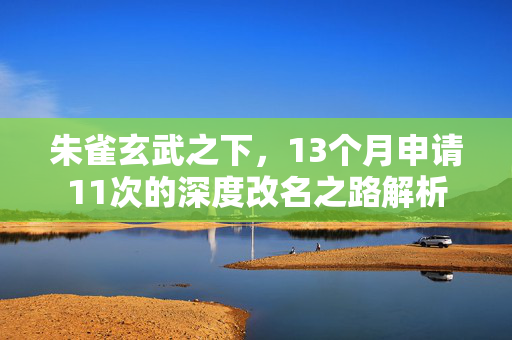 朱雀玄武之下，13个月申请11次的深度改名之路解析