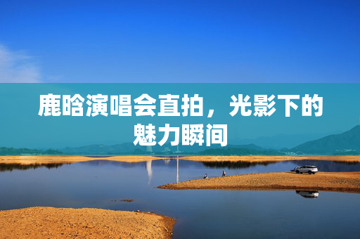 鹿晗演唱会直拍，光影下的魅力瞬间