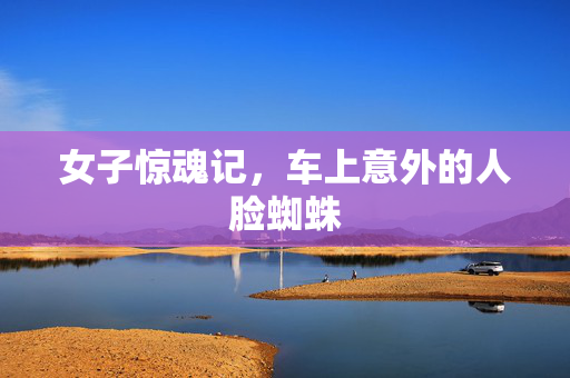 女子惊魂记，车上意外的人脸蜘蛛