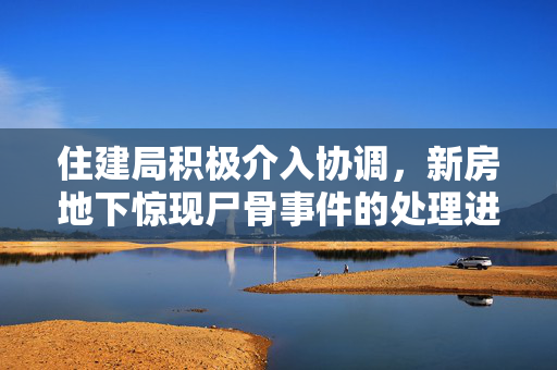 住建局积极介入协调，新房地下惊现尸骨事件的处理进展