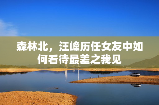 森林北，汪峰历任女友中如何看待最差之我见