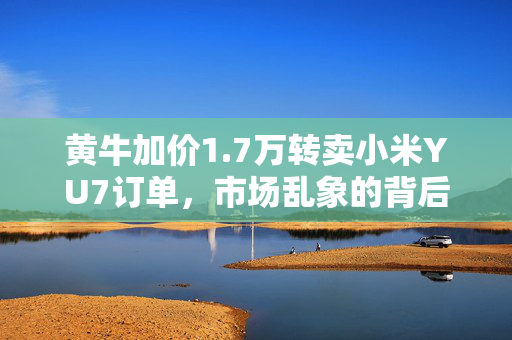 黄牛加价1.7万转卖小米YU7订单，市场乱象的背后思考