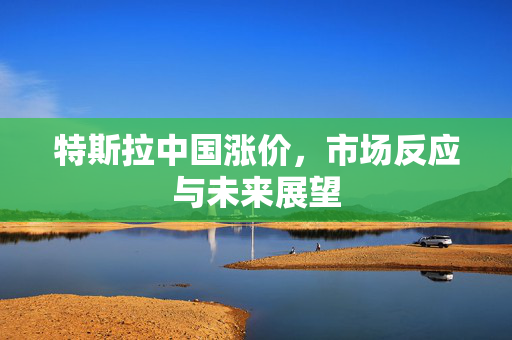特斯拉中国涨价，市场反应与未来展望