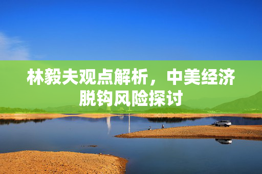 林毅夫观点解析，中美经济脱钩风险探讨