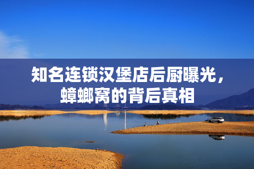 知名连锁汉堡店后厨曝光，蟑螂窝的背后真相