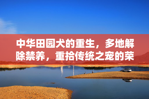 中华田园犬的重生，多地解除禁养，重拾传统之宠的荣耀时刻