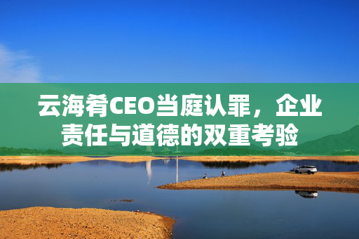 云海肴CEO当庭认罪，企业责任与道德的双重考验