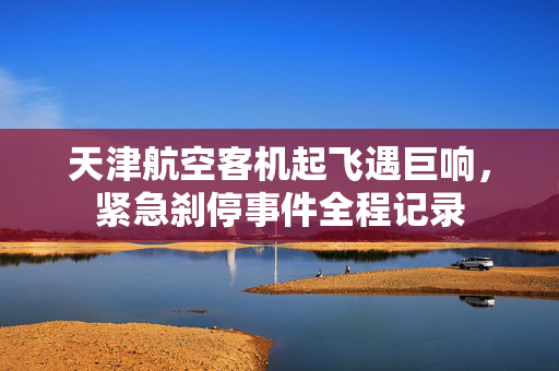 天津航空客机起飞遇巨响，紧急刹停事件全程记录