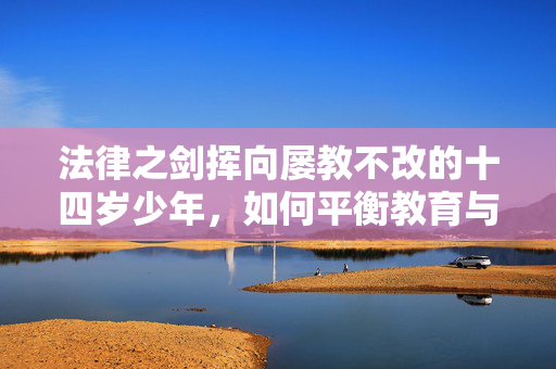 法律之剑挥向屡教不改的十四岁少年，如何平衡教育与惩戒？
