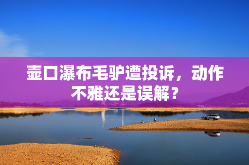 壶口瀑布毛驴遭投诉，动作不雅还是误解？