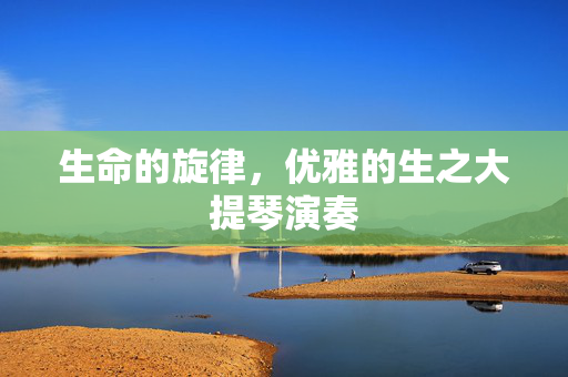 生命的旋律，优雅的生之大提琴演奏