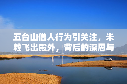 五台山僧人行为引关注，米粒飞出殿外，背后的深思与启示